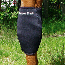 Kniebeschermer, Links