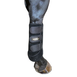 Exercise Boots for hind leg