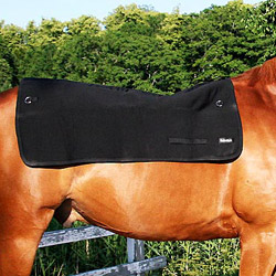 Protège-dos chauffant