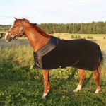 Chemise polaire supreme