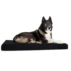 Hundematratze