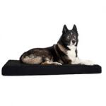 Matelas pour chien