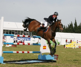Guy Williams