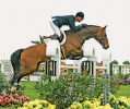Chris Kappler