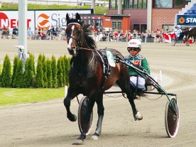 &Aring;ke Svanstedt